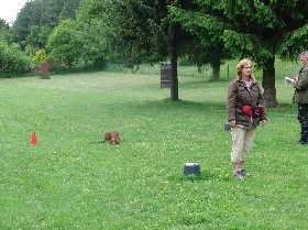Coleena Platz-Bleib Coleena Platz-Bleib