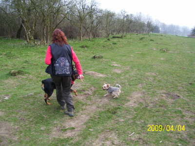 ben auf der Hundewiese