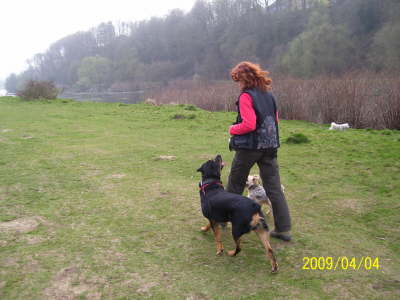 ben auf der Hundewiese