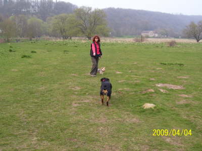 ben auf der Hundewiese