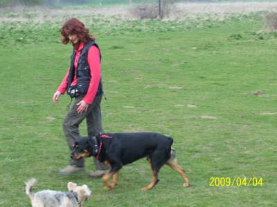 ben auf der Hundewiese