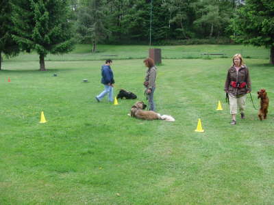 Betti Platz bei Ablenkung