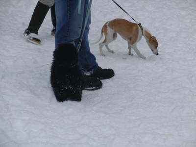 Frh bt sich, was ein Nasenspezialist werden will