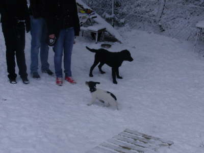 Hurra, jetzt knnen wir toben