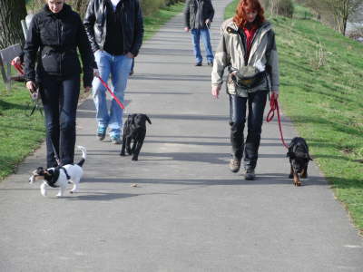 auch gehen in der Gruppe muss gebt werden