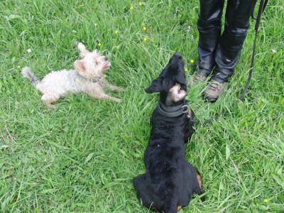 Platz_mit Krawallohr